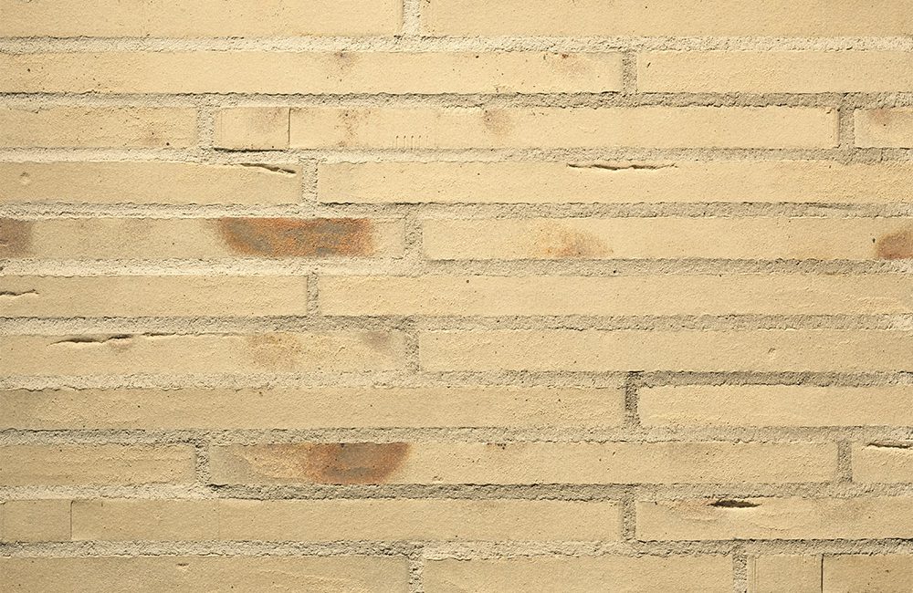 ge_Esaro-FK_Zuschnitt_Toni-Ott