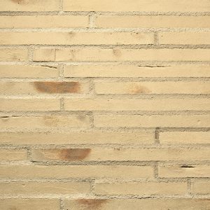 ge_Esaro-FK_Zuschnitt_Toni-Ott