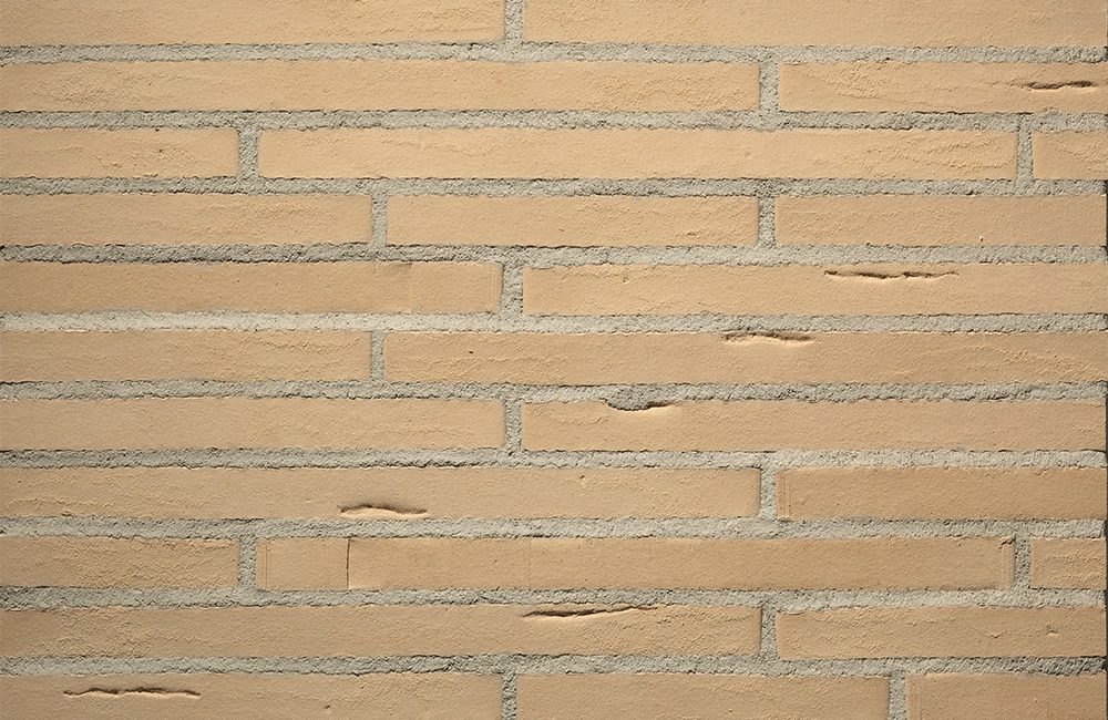 ge_Escola_Zuschnitt_Toni-Ott