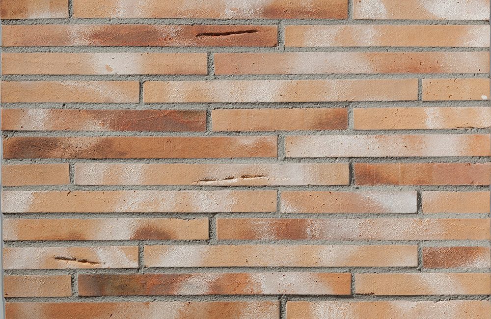 o_Elmas-FK-490x40-geschlaemmt_Zuschnitt_Toni-Ott