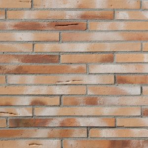 o_Elmas-FK-490x40-geschlaemmt_Zuschnitt_Toni-Ott